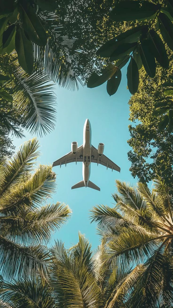 Avión sobre palmeras